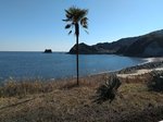 DSC_1007.JPG